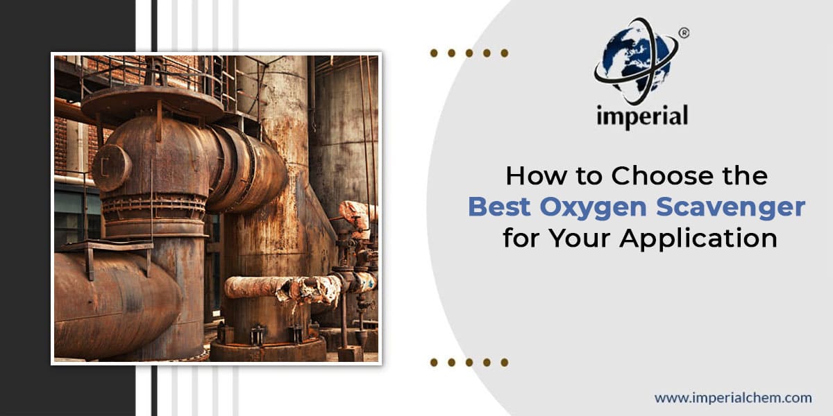 choose the best oxygen scavenger for your application